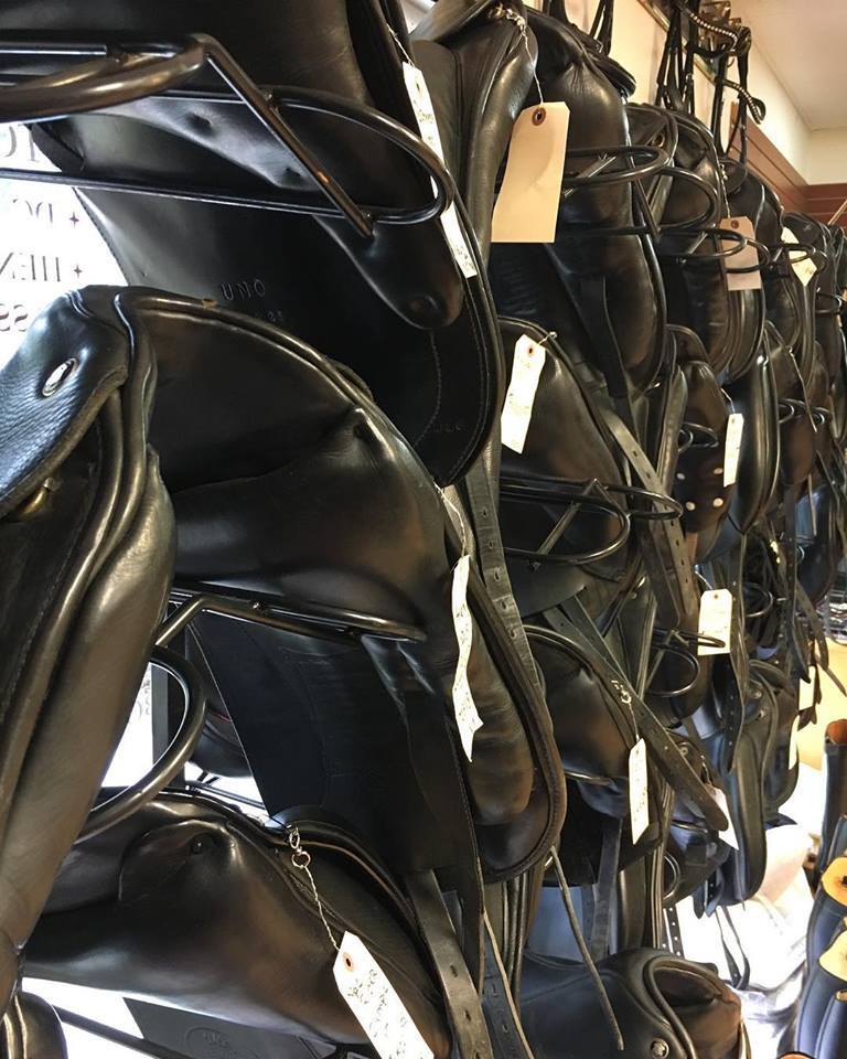 Saddle Fitting Nightmares Alleviated at The Dressage Connection