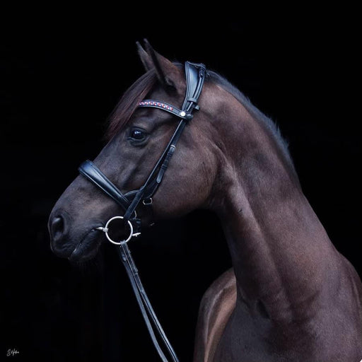 Tota Andros "Build a Bridle" Snaffle