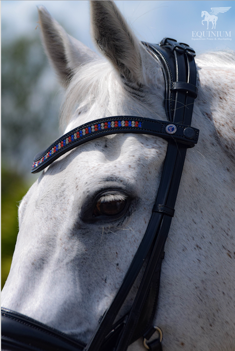 Tota Andros "Build a Bridle" Double