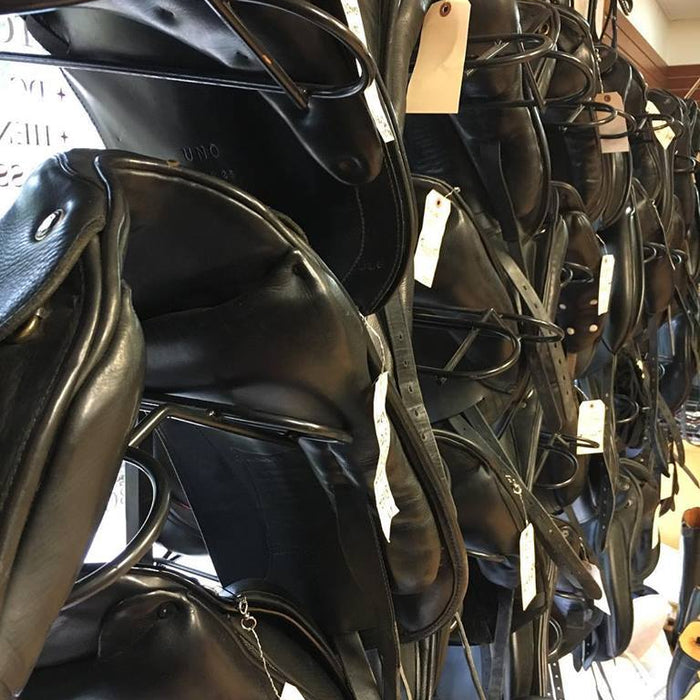 Saddle Fitting Nightmares Alleviated at The Dressage Connection