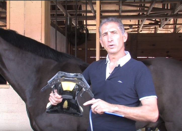 Wither Tracing with The Dressage Connection