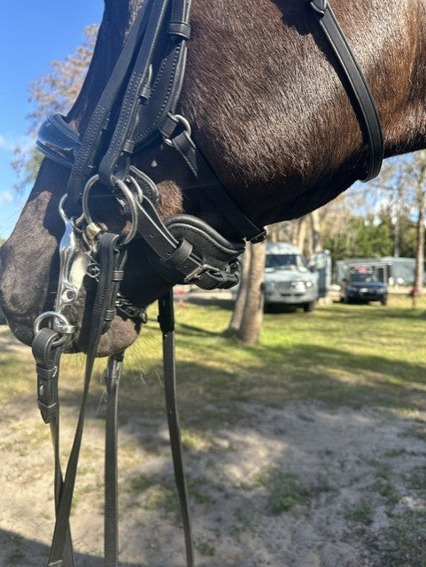 Tota Comfort System Cayman PRO Double w/ Reins WITH THROAT LATCH