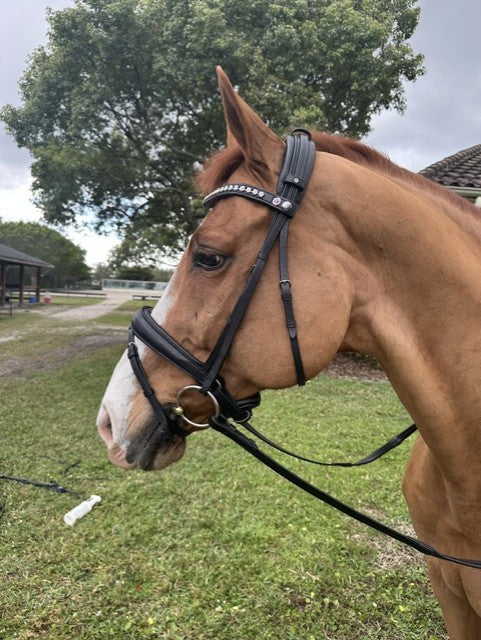 Tota Comfort System Cayman PRO Snaffle W/ Reins WITH THROAT LATCH