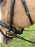 Tota Comfort System Cayman PRO Snaffle W/ Reins WITH THROAT LATCH