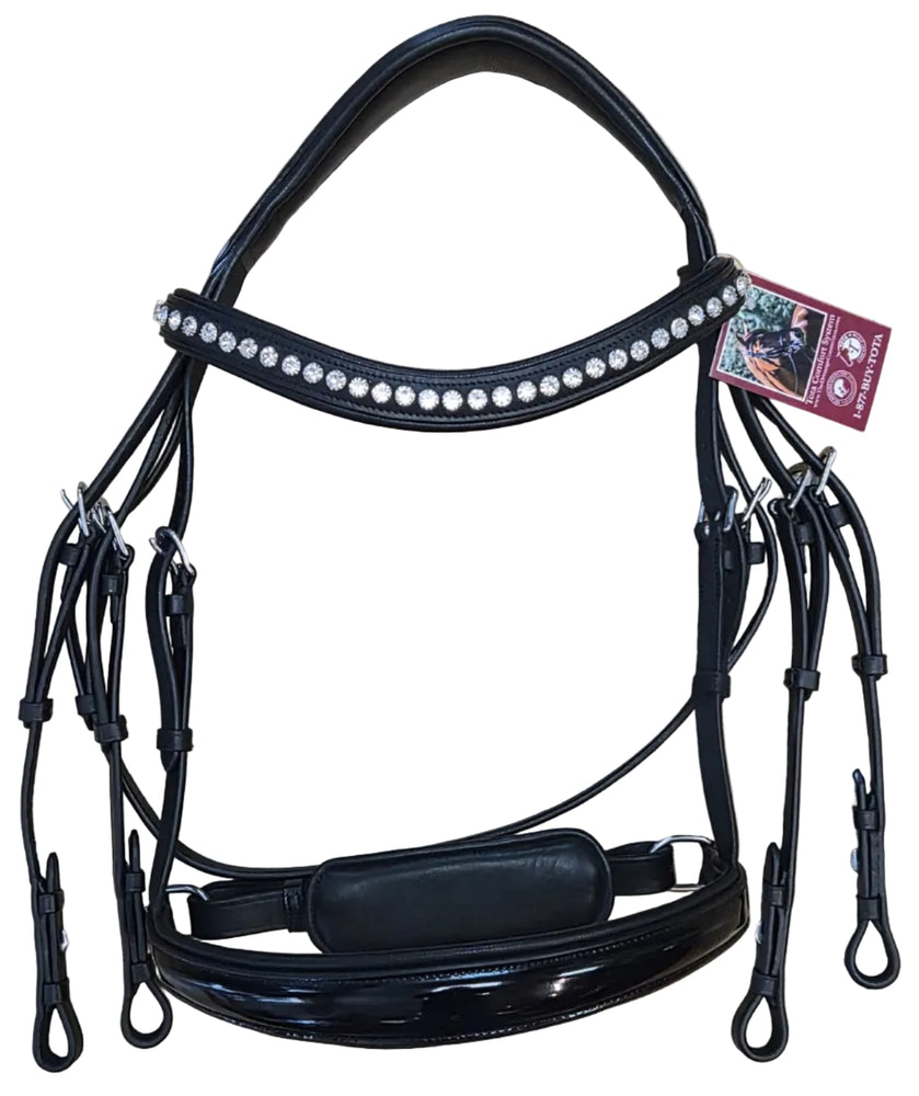 Cozumel Double Bridle by The Dressage Connection