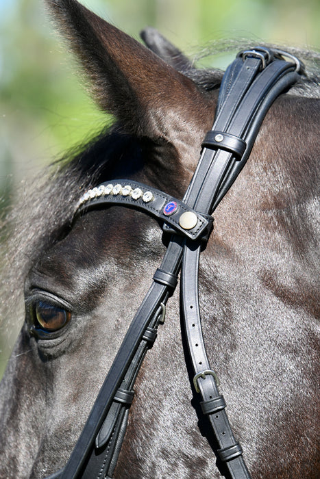 Tota Comfort System PRO Series Snaffle Bridle