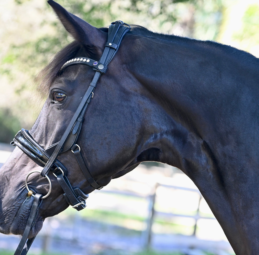 Tota Comfort System PRO Series Snaffle Bridle