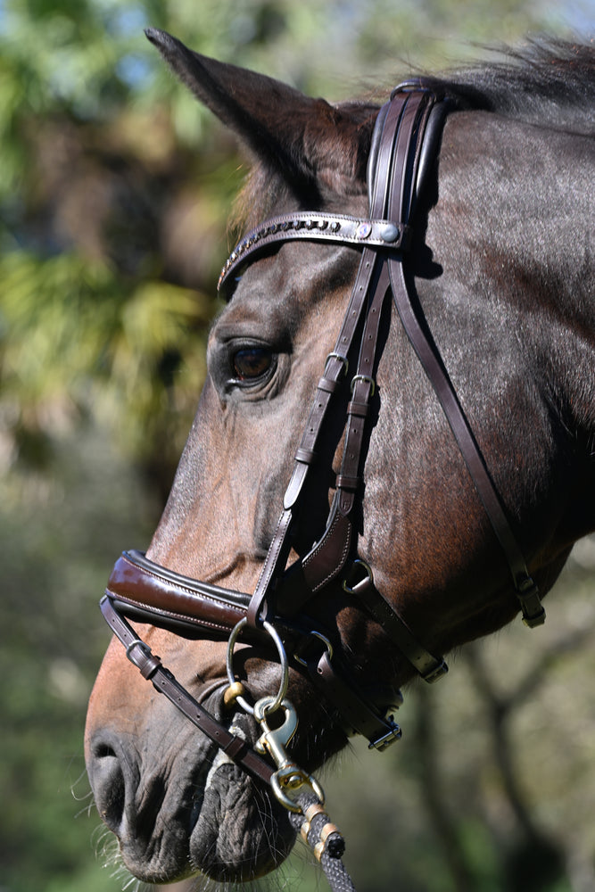 Tota Comfort System Cayman Snaffle Bridle - Brown