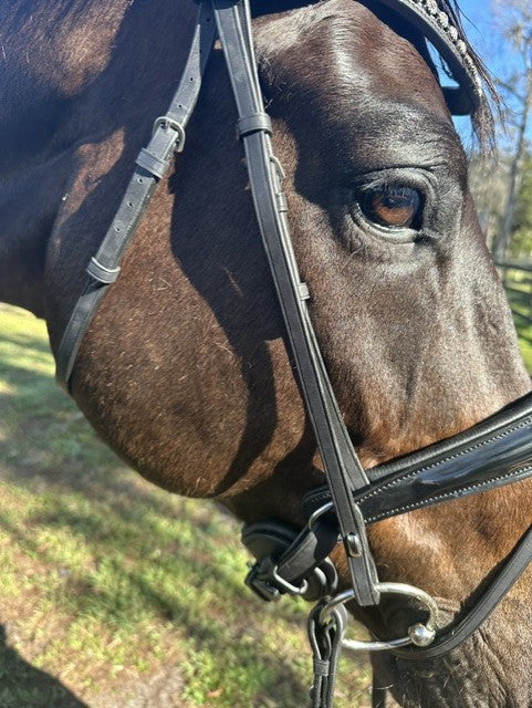 Tota Comfort System Nassau PRO Snaffle w/ Reins AND THROAT LATCH