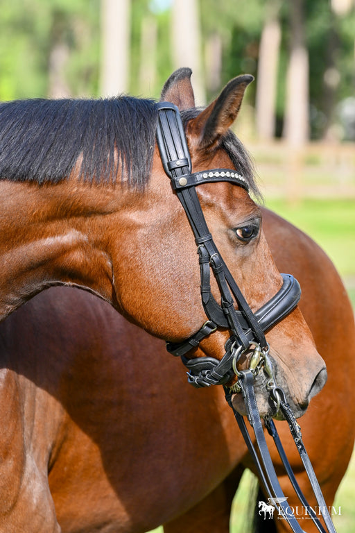 Tota Comfort System Pro Series Double Bridle
