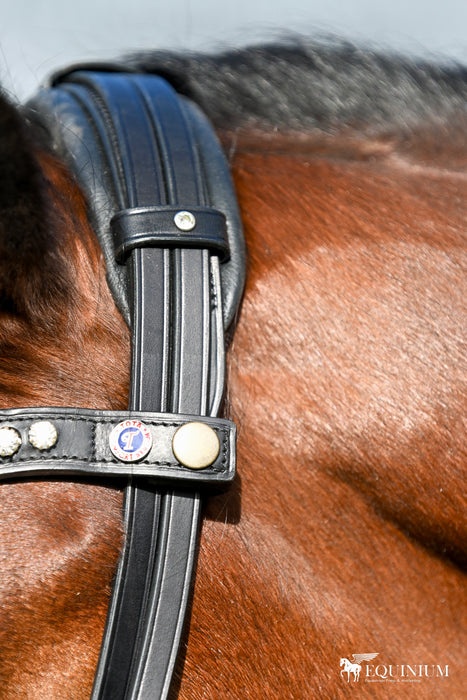 Tota Comfort System Pro Series Double Bridle