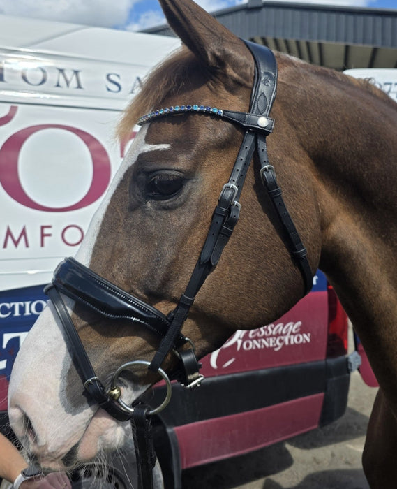 Antigua Snaffle Bridle by The Dressage Connection