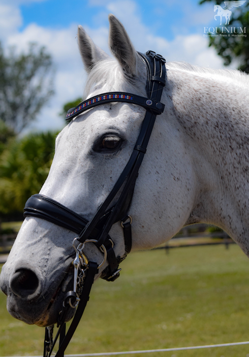 Tota Andros "Build a Bridle" Double