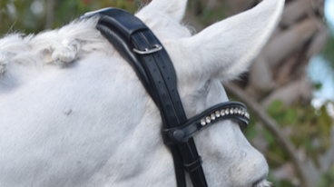 Tota Comfort System Nassau Double Bridle - ( WITH THROAT LATCH )