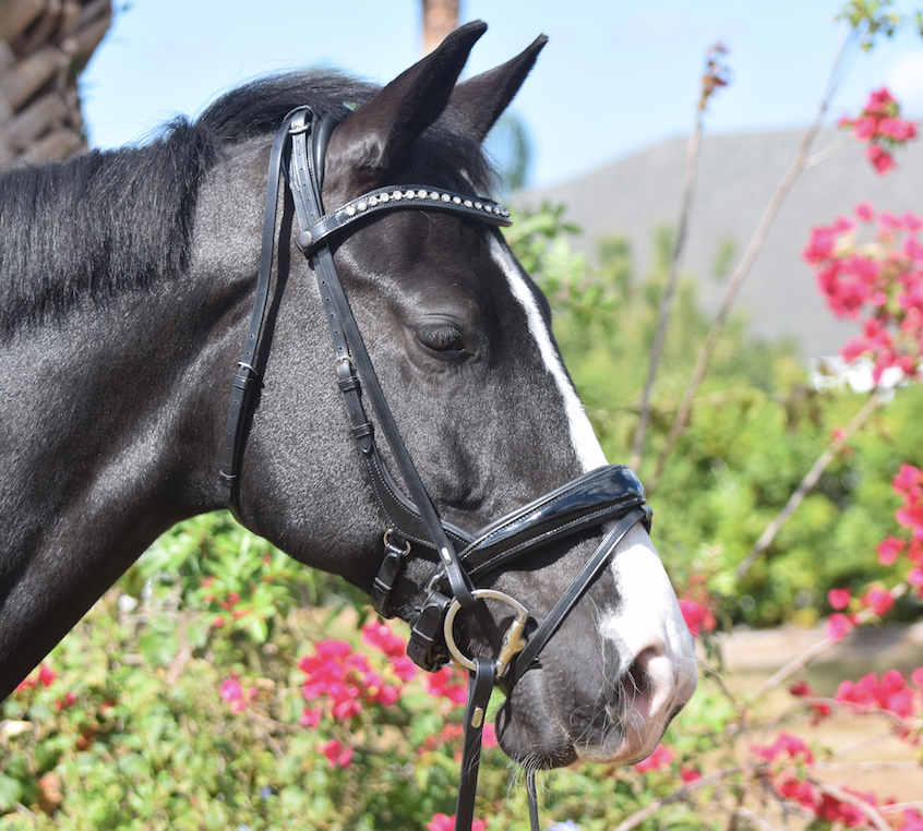 A closer look at the Tota Comfort System Andros Double A closer look at the Tota Comfort System Andros Double