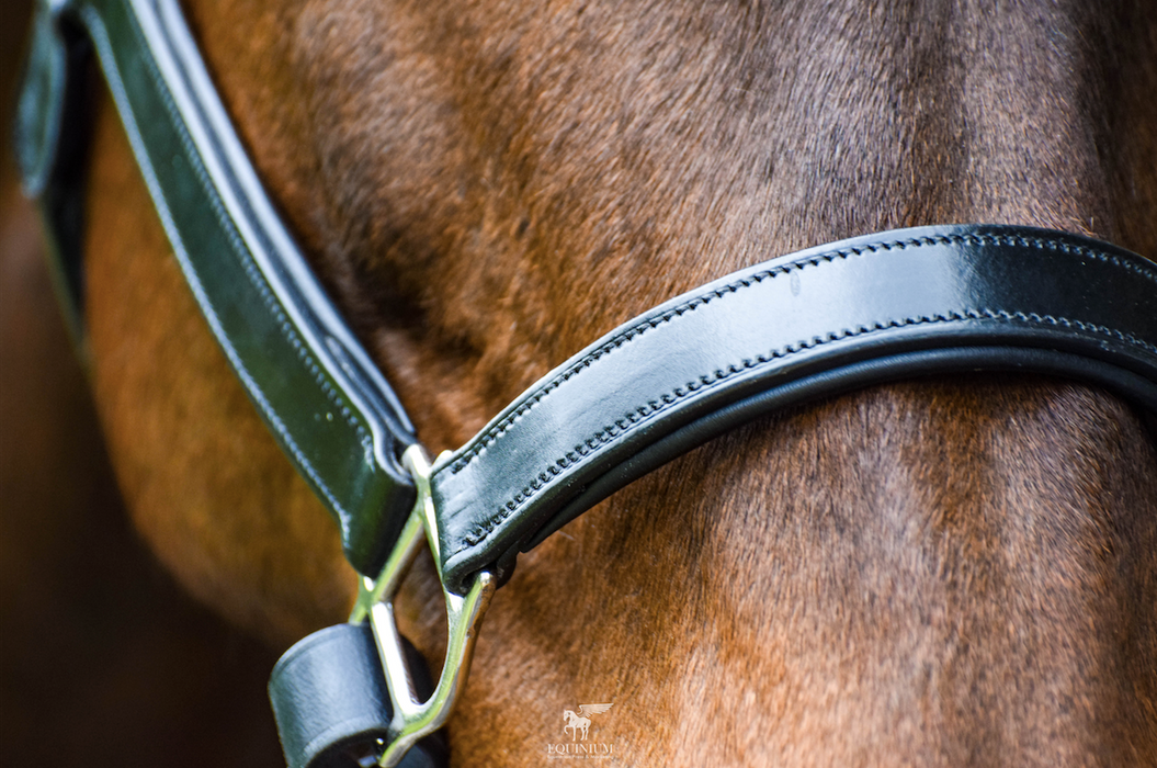 Tota Comfort System Andros Ergonomic Halter
