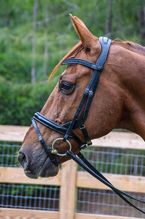 Tota Comfort System Bimini Snaffle Bridle — The Dressage Connection