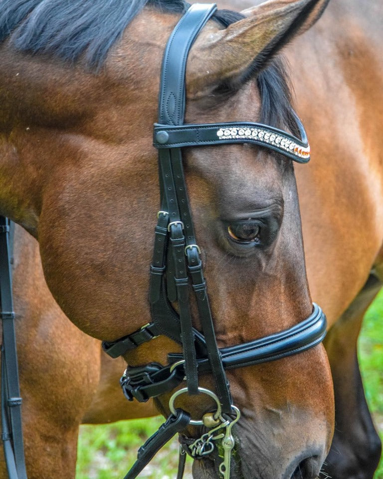 Tota Comfort System Freeport Double Bridle (Not sold with crank as pic ...